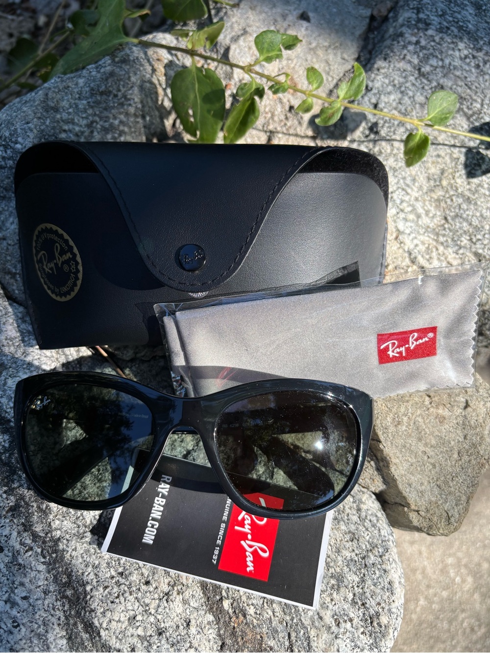 Classic Ray-Ban Black Women's Sunglasses